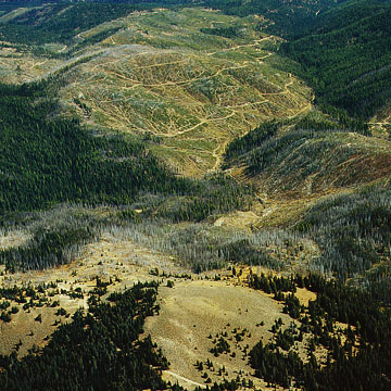 1960 Anthony fire area - 1969